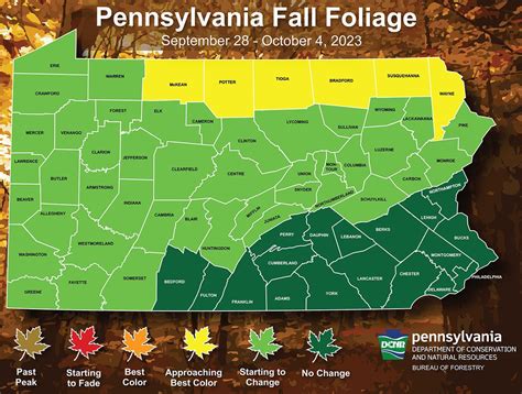 ‘A very colorful autumn display’: Where to see fall foliage in Pa. this ...