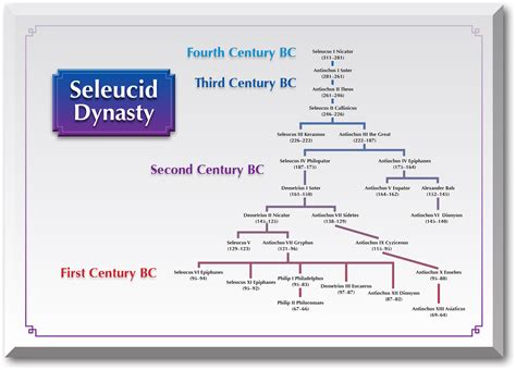 Seleucid Dynasty Collection | Coin Talk