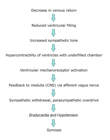 Causes of Syncope - RCEMLearning