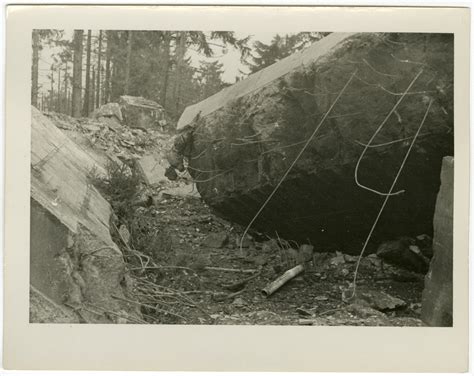 Damaged German pillbox in the Hürtgen Forest in 1945 | The Digital ...