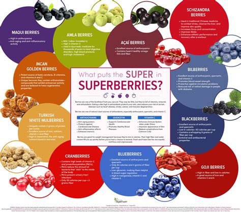 SuperBerries Infographic / Berries Health Benefits / Nutrition in Berries / Superf… | Best anti ...