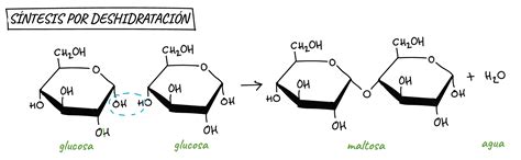 QUÍMICA INORGÁNICA - QUÍMICA DE LA VIDA