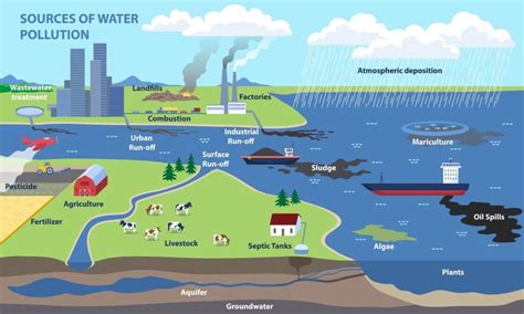 The Harsh Realities of Water Contamination | Aqua Lite US