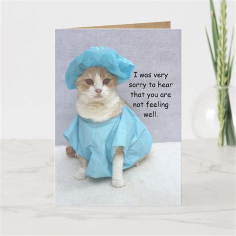 Funny Cat Get Well Card | Zazzle.com