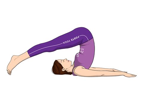 Plow Yoga Pose - Forte Yoga | Yoga poses, Poses, Abdominal muscles