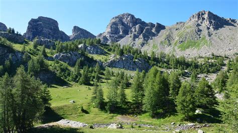 Green Pine Trees Near Rocky Mountain Under Blue Sky · Free Stock Photo