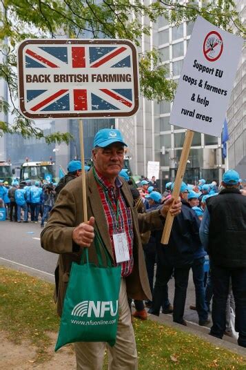 Farmers protest in Brussels, in pictures