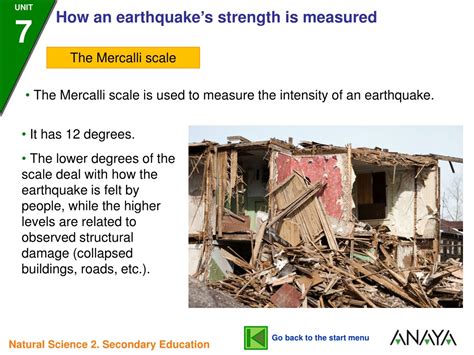 glencoe modified mercalli intensity scale chart Info hewan tumbuhan ...