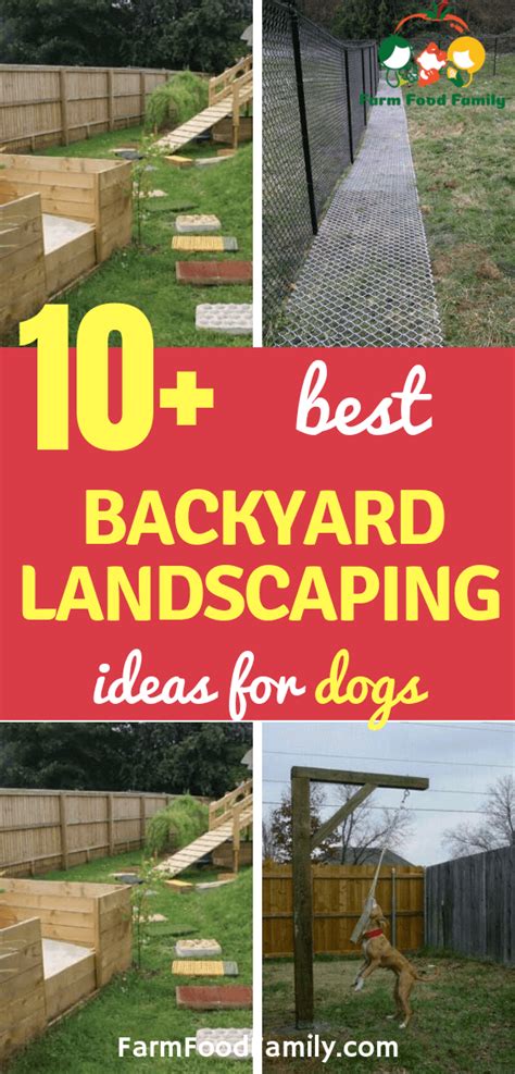 24+ Great Dog-Friendly Backyard Landscaping Ideas & Designs For 2024 | Dog yard landscaping, Dog ...