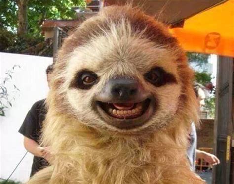 The 30 Happiest Animals In The World That Will Make You Smile | Bored Panda