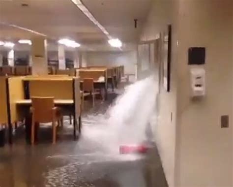 Insane Texas Tech Library Flood Caught on Cell Phone [Video]