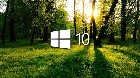 Windows 10 in the green forest white logo wallpaper - Computer wallpapers - #47539