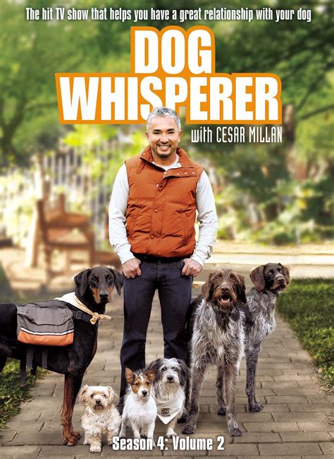 The Dog Whisperer - Wisdom and Life