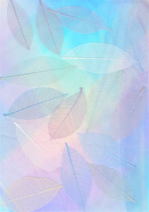 HD Pastel Colors Wallpaper | WhatsPaper