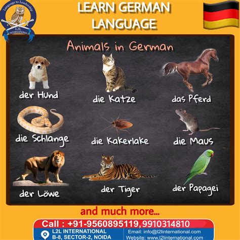 Animal name in german language | Worksheets for kids, German language ...