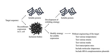 Soluble Protein Test Introduction and Method - BiologicsCorp