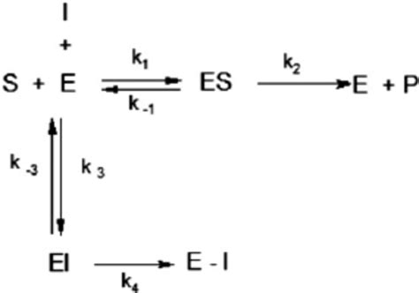 Mechanism for irreversible enzyme inhibition [23]. | Download ...