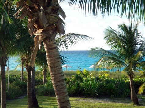 Club Med Columbus Isle - Resorts Daily