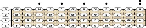 Double Bass Tuning - Chord Scale Generator