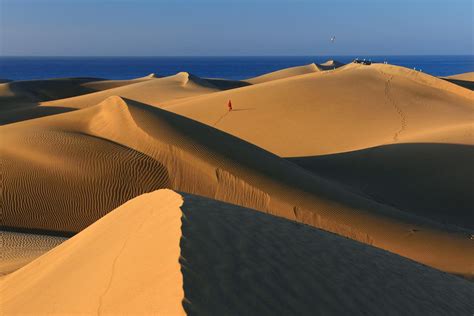 Dunas de Maspalomas | Hola Islas Canarias