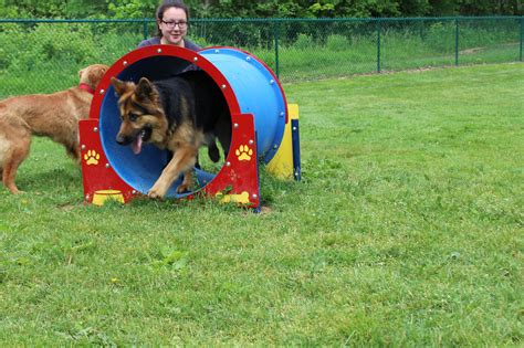 Dog Parks | Kenosha County, WI - Official Website