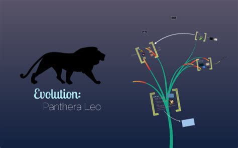 The Evolution of the Panthera Leo by Dion Penaflor on Prezi