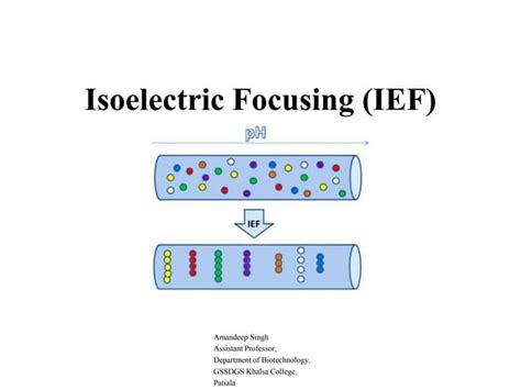 Isoelectric focusing | PPT