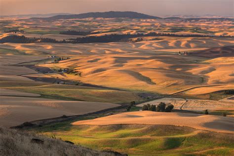 Palouse Sunrise | Palouse, WA | Fred Mertz Photography