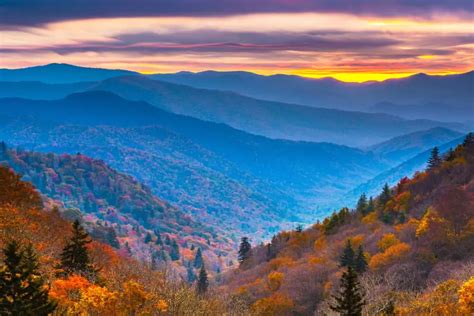 Fall Foliage in the Smoky Mountains: Everything You Need to Know