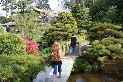 Spring is in Bloom at the Japanese Tea Garden | Marin Mommies