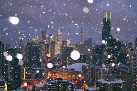 Get your winter groove on this weekend in Toronto | CityNews Toronto