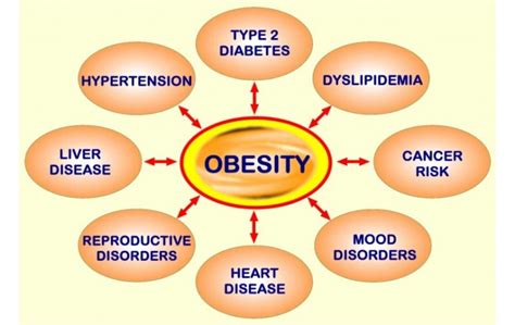 Is-Obesity-Really-Genetic