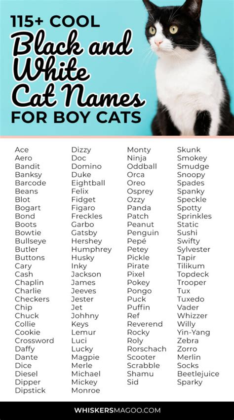 115+ Cool Black and White Cat Names for Boy Cats - Whiskers Magoo