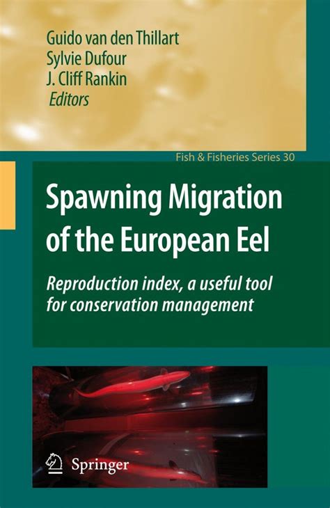 Spawning Migration of the European Eel | NHBS Academic & Professional Books