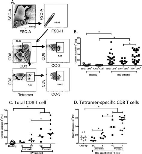 Frequencies of cleaved caspase-3 ϩ CD8 ϩ T cells in HIV-infected... | Download Scientific Diagram