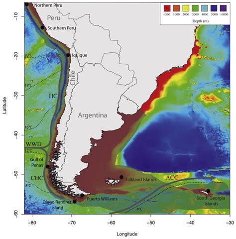 Population genetic structure of Patagonian toothfish (Dissostichus eleginoides) in the Southeast ...