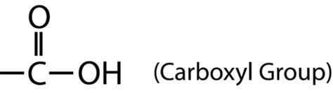 Carboxylic Acids | CK-12 Foundation