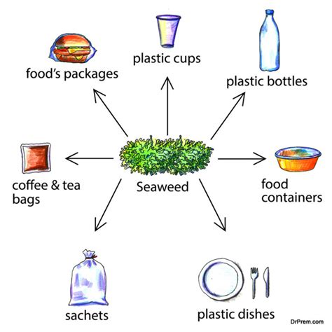 How bioplastics and biodegradable plastics are transforming packaging ...