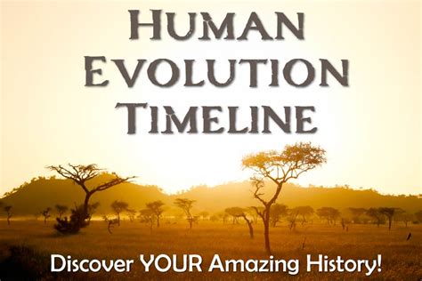 Human Evolution Timeline Chart