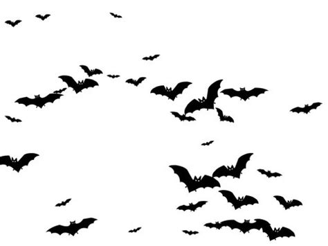 Flying Bats Wallpaper