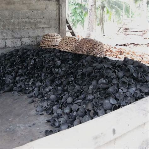 Coconut Shell Charcoal - High Quality, High Calories