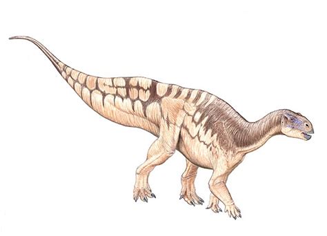 Tenontosaurus - Alchetron, The Free Social Encyclopedia