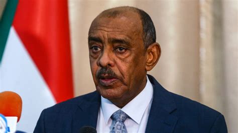 Sudanese Foreign Minister: The rejection of the Rapid Support Forces ...