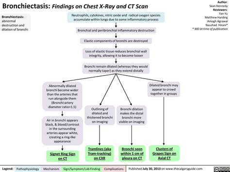 Bronchiectasis: Findings on Chest X-Ray and CT Scan | Calgary Guide