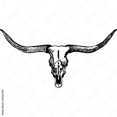 Longhorn skull SVG design, bull skull, cow skull, farmhouse decor, Wild ...