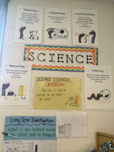 Science Portfolio - Rebecca Fiore