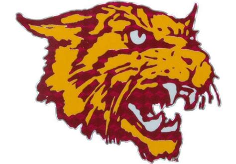 Bethune-Cookman University - College Sports | Daytona Beach, FL 32114