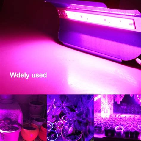 30W 50W LED Phyto Flood Lights High Power COB LED Grow Light Fitolampy ...