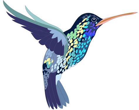 Hummingbird clipart honey, Hummingbird honey Transparent FREE for ...