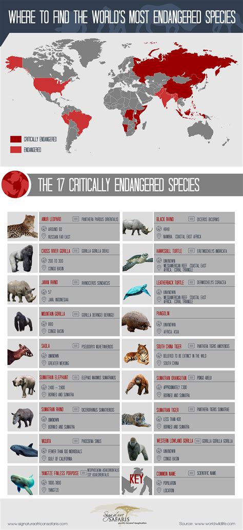 A List Of Endangered Species